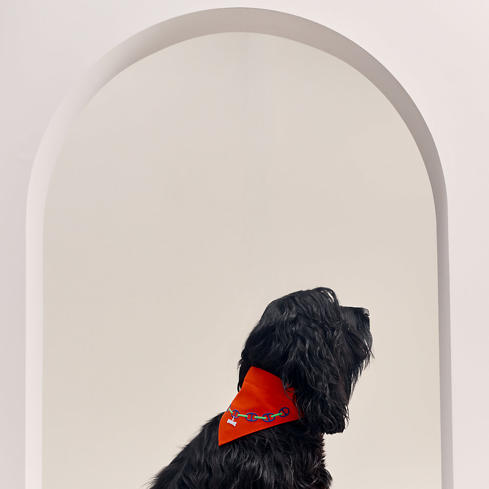 犬用バンダナ-《マイヨン》-m--
